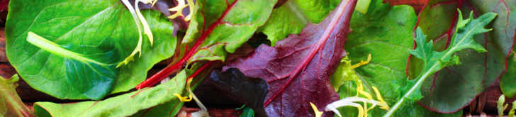 Tinytag temp/RH loggers monitor salads during refrigerated distribution