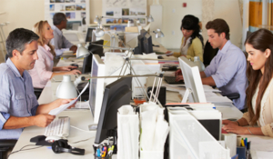 Office workers sat at computer desks