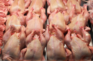 chicken after processing (poultry)