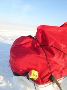 Tinytag Plus 2 data logger during greenland crossing