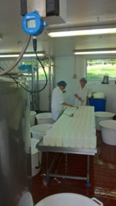 Tinytag View 2 temperature data logger monitoring cheese making